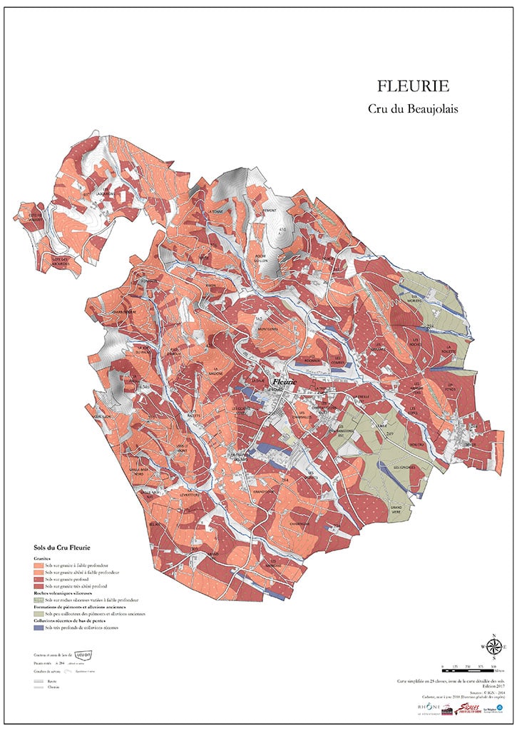 2020 Fleurie, de Boischampt - Domaine